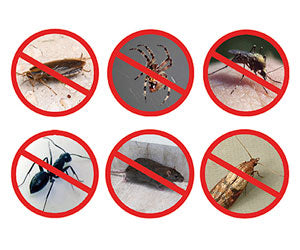 Pest Reject 2x1 a 49,99€