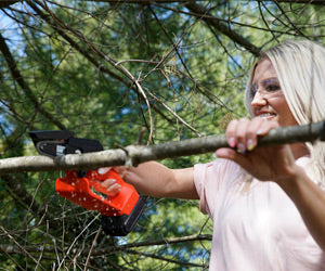 Minichain Saw a 2.255 CZK