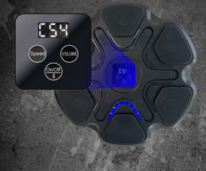 Boxing Music Box a 298 LEU