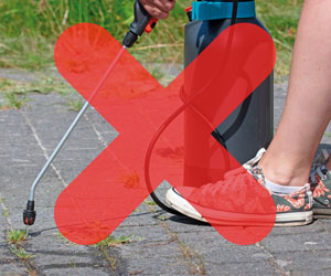 Weed Burner a 59,99€