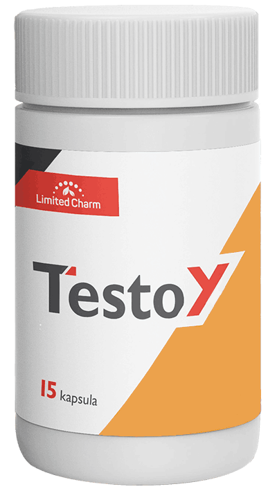 TESTOY